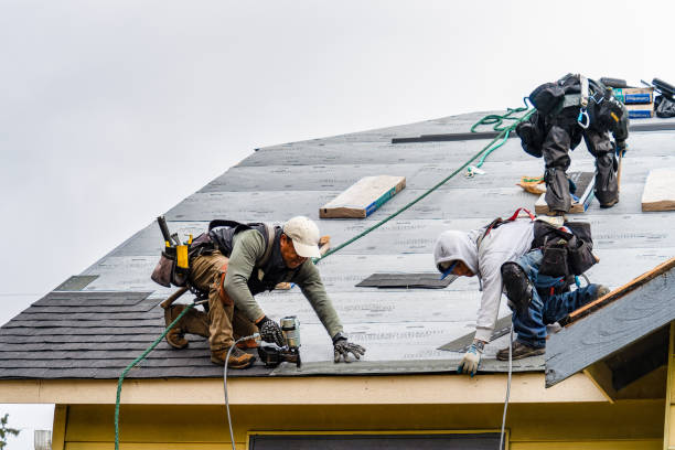 Professional Roofing technician working in Howe, ID